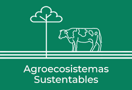 Agroecosistemas Sustentables